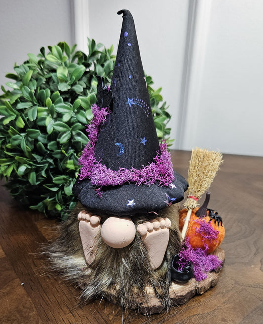 Witch Gnome