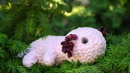 Large Axolotl