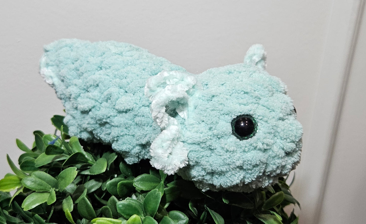 Small Axolotl