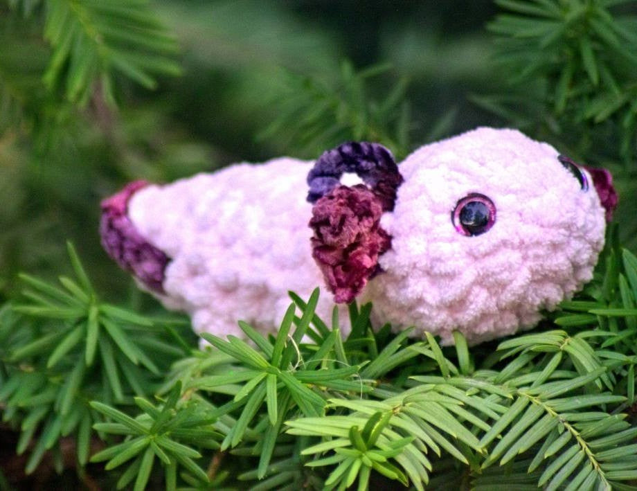 Small Axolotl