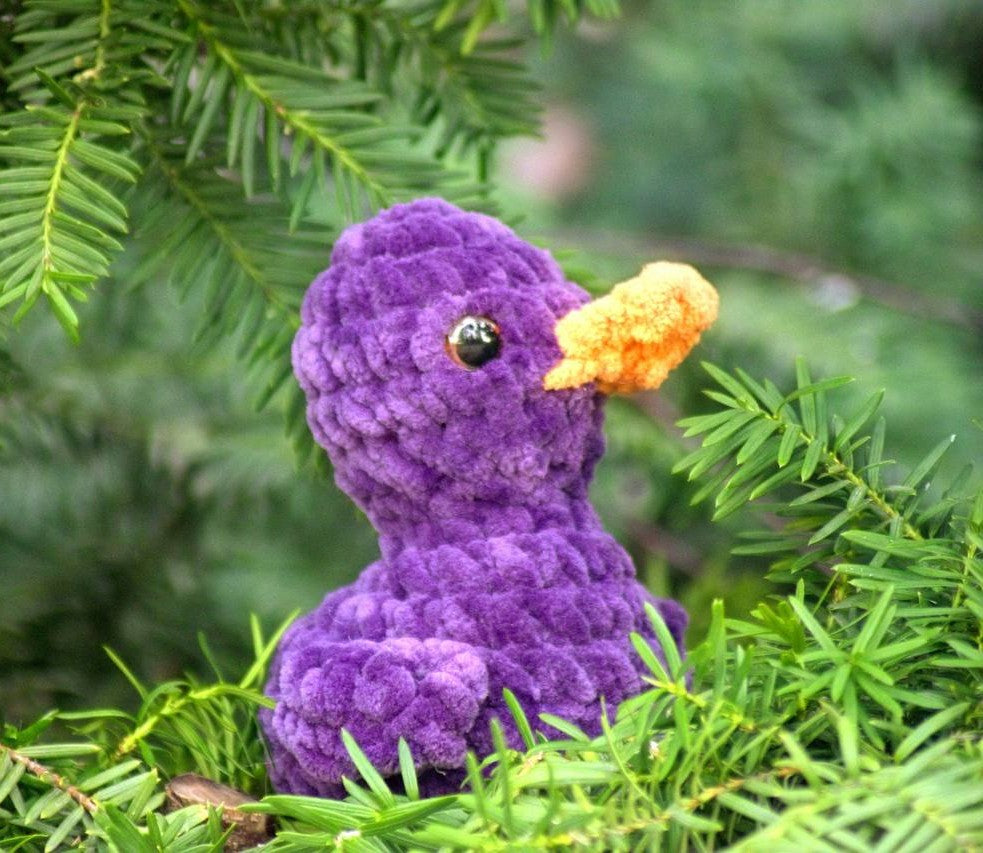 Duck