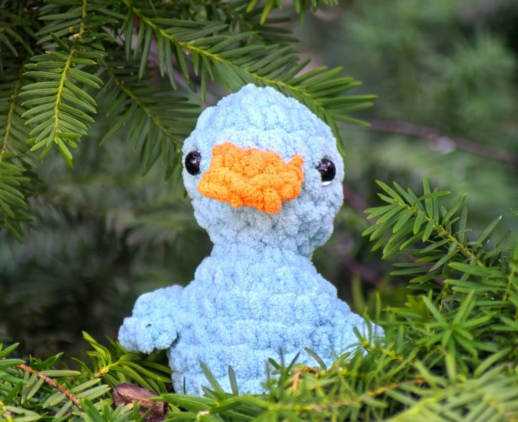 Duck
