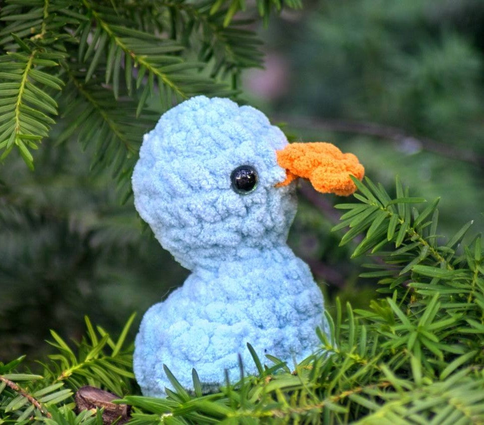 Duck