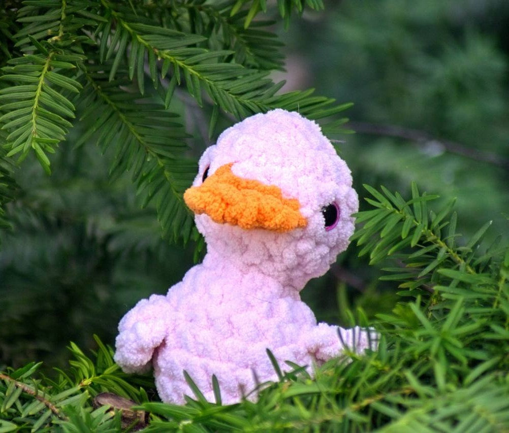 Duck