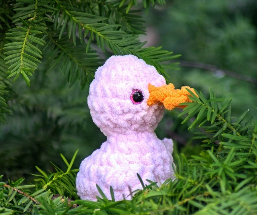 Duck