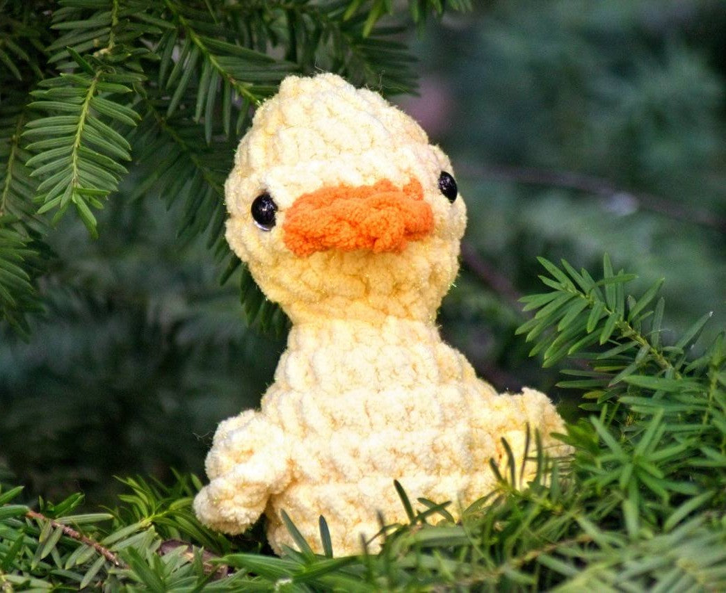 Duck
