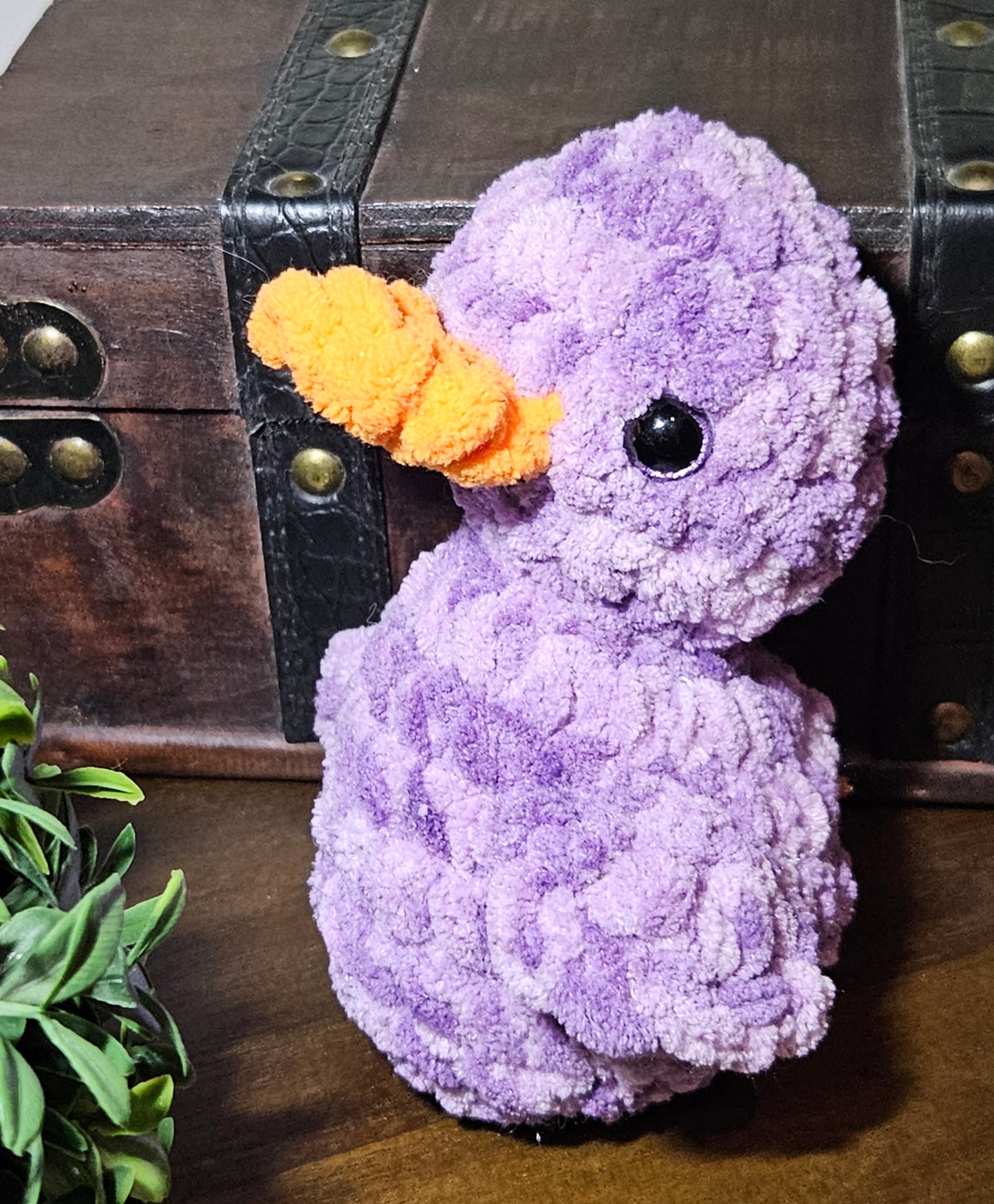 Duck