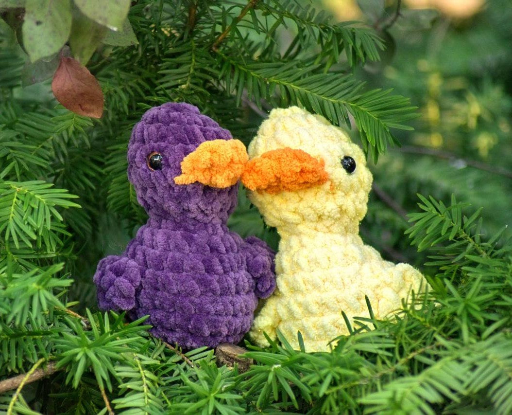 Duck