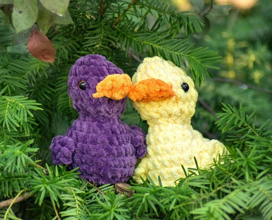 Duck