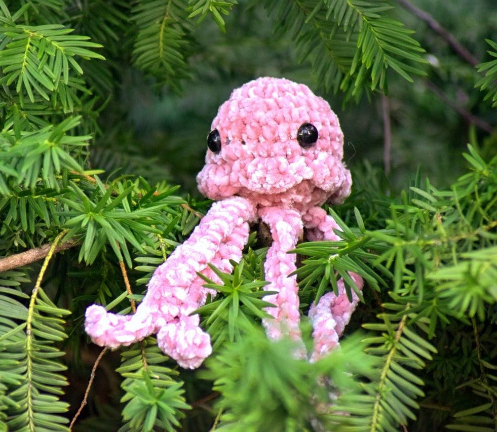 Small Jellyfish